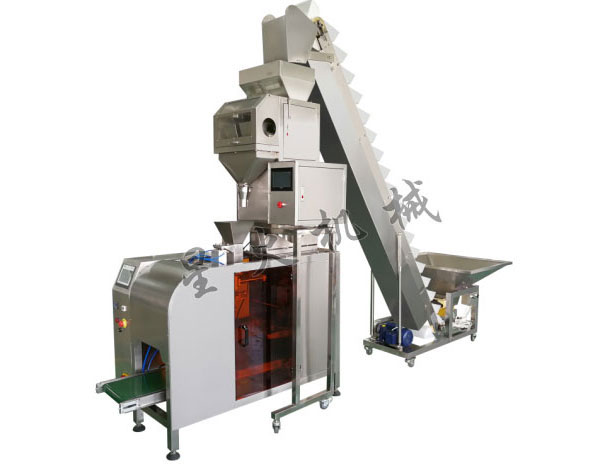 全自動單工位顆粒定量包裝機(jī)