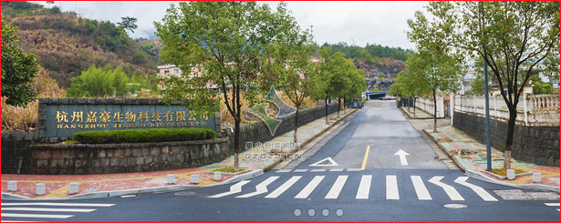 黑芝麻糊包裝機,豆奶粉自動包裝機