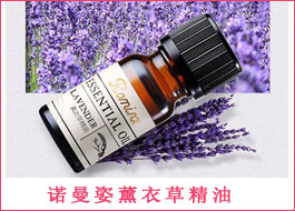 �Z����޹�²ݾ���