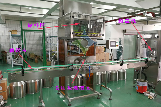 食用鹽包裝機,全自動食用鹽包裝機