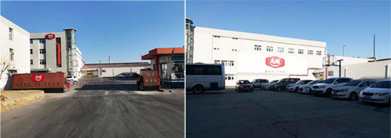 �w�����b�C